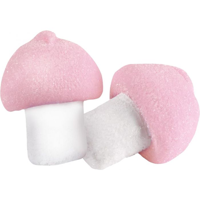 Skumma Svampar 900g