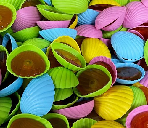 Seashells 10Kg
